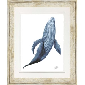 KS- BLUE WHALE 3